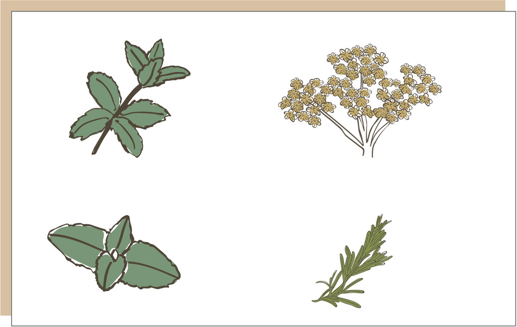 Projet Jardin Closel Bourbon — Thimoo